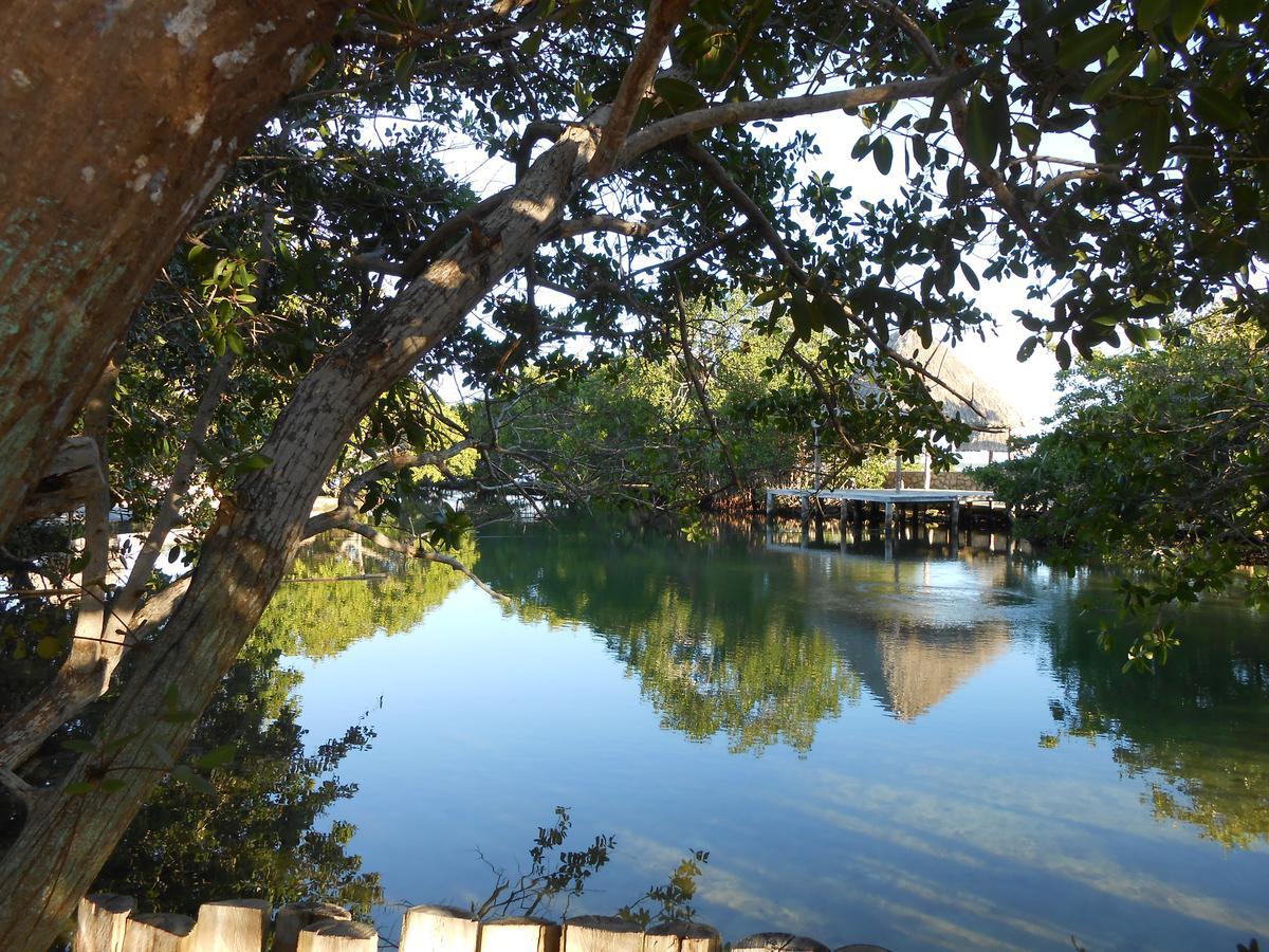 Hotel Punta Ponto Rio Lagartos Bagian luar foto